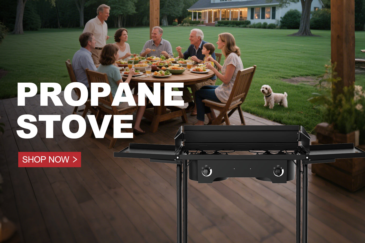 Propane Stove